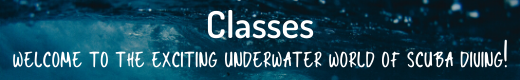 Classes Heading