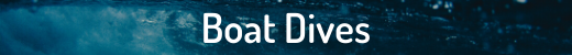 Copy of Boat Dives Heading
