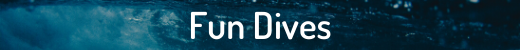 Fun Dives Heading